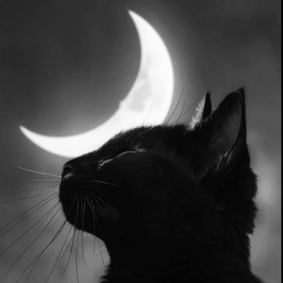 Meet your Posher, Christina - Picture 8 of 10